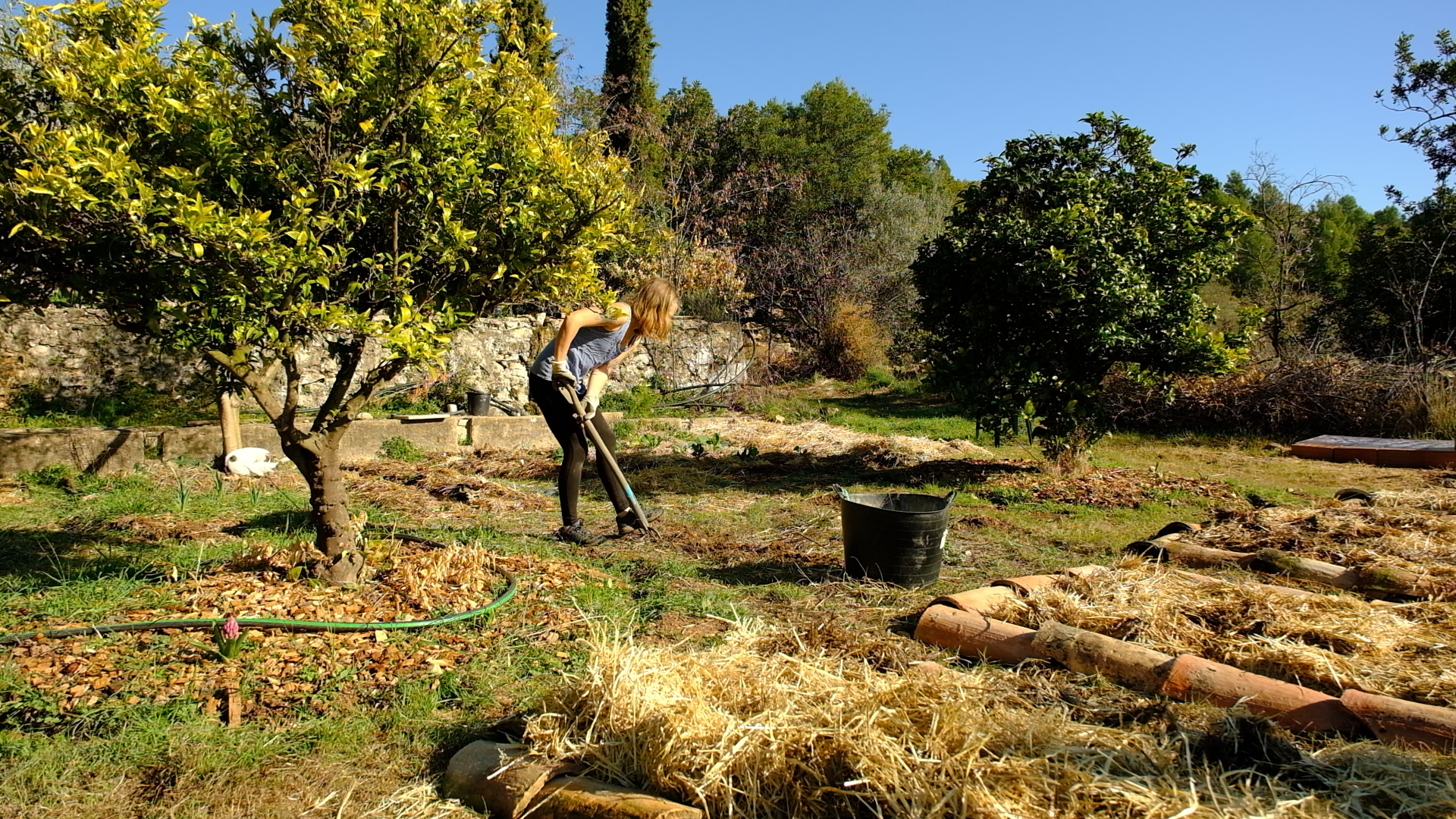 Working in the garden. March 2022